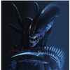 Image 5 : ALIEN VS PREDATOR COMPLETE BLOODY ALIEN BODY SUIT WITH PARTIAL TAIL