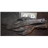 Image 1 : ALIEN VS PREDATOR SCREEN USED HERO FOOT WITH TOM WRITTEN INSIDE