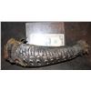 Image 1 : ALIEN VS PREDATOR SCREEN USED HORN 2