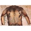 Image 4 : ALIEN VS PREDATOR SCREEN USED SCAR BODY SUIT
