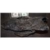Image 1 : ALIEN VS PREDATOR SCREEN USED STUNT FOOT 3
