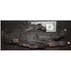 Image 1 : ALIEN VS PREDATOR SCREEN USED INSERT ARM AND HAND