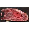 Image 3 : CRIMINAL MINDS SEVERED TORSO SPLIT IN HALF KEEPER QUALITY GORE!