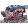 Image 2 : HARBINGER DOWN SPLIT FACE BURNT REMAINS