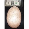 Image 1 : AFTER EARTH SCREEN USED DINOSAUR EGG SHELL 1