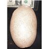 Image 1 : AFTER EARTH SCREEN USED DINOSAUR EGG SHELL 2