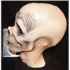 Image 2 : DISNEY THE HAUNTED MANSION HITCHHIKER PAINT TEST HEAD