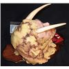 Image 3 : TUSK SCREEN USED SEVERED HEAD SILICONE ACRYLIC FOAM EXCELLENT DISPLAY