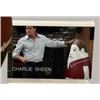 Image 3 : ANGER MANAGEMENT BO THE PUNCHING BAG CHARLIE SHEEN