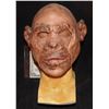 Image 1 : PLANET OF THE APES CHIMPANZEE FULL HEAD MASK ON LIFE CAST