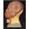 Image 2 : PLANET OF THE APES CHIMPANZEE FULL HEAD MASK ON LIFE CAST