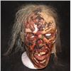 Image 1 : HELLBOY SCREEN USED WITCH FULL HEAD SILICONE MASK KEEPER QUALITY GORE