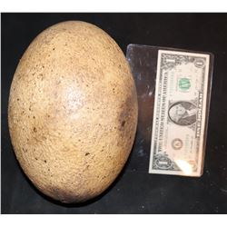 JURASSIC WORLD FALLEN KINGDOM DINOSAUR EGG