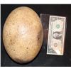 Image 1 : JURASSIC WORLD FALLEN KINGDOM DINOSAUR EGG