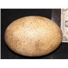 Image 2 : JURASSIC WORLD FALLEN KINGDOM DINOSAUR EGG