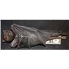 Image 1 : VAN HELSING HANGING BAT FROM DRACULA'S CASTLE 1