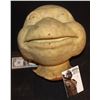 Image 1 : TEENAGE MUTANT NINJA TURTLES VINTAGE HEAD CASTING FROM ORIGINAL FILM