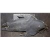 Image 3 : ZZ-CLEARANCE ALIEN VS PREDATOR SCREEN USED STUNT FOOT 4