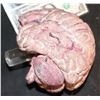 Image 2 : ZZ-CLEARANCE BRAIN PROP HARD CAST SOLID ON ACRYLIC DISPLAY SHAFT EXCELLENT DISPLAY OR MASTER