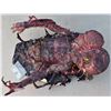 Image 4 : HARBINGER DOWN SPLIT FACE BURNT REMAINS