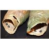 Image 3 : MEN IN BLACK II MOSH BULB MATCHED PAIR OF ARMS SCREEN USED