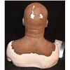 Image 4 : NUTTY PROFESSOR THE KLUMPS APPLIANCE ON EDDIE MURPHY FULL BUST LIFE CAST