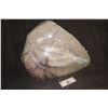 Image 2 : STARSHIP TROOPERS BUG SHELL USED IN ALIEN VS PREDATOR REQUIEM AS A PREDALIEN POD