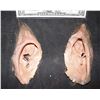 Image 2 : TEEN WOLF 1985 SCREEN USED WEREWOLF EARS MICHAEL J FOX