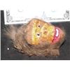 Image 2 : MIGHTY JOE YOUNG VINTAGE HEAD CASTING WITH PAINT AND FUR