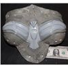 Image 1 : WONDER WOMAN BREAST ARMOR EAGLE MASTER FROM UNRELEASED TV PILOT ADRIANNE PALICKI