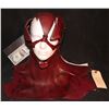 Image 3 : FLASH THE COMPLETE COWL PAINTED AND DISTRESSED ONLY ONE!