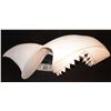 Image 1 : SHARK WITH FIN HEAD COWL MASK WEARABLE