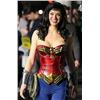 Image 2 : WONDER WOMAN BREAST ARMOR EAGLE GLYPH 3 FROM TV PILOT ADRIANNE PALICKI