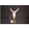 Image 1 : SNOW WHITE AND THE HUNTSMAN KNIGHT ARMOR CREST LOT 7