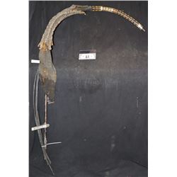 ALIEN VS PREDATOR ANIMATRONIC ALIEN QUEEN TAIL RIG SCREEN USED