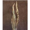 Image 3 : ALIEN VS PREDATOR QUEEN ANIMATRONIC ARM COMPLETE WITH MECHANICS