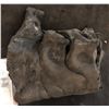 Image 2 : ALIEN VS PREDATOR SCREEN USED TAIL BASE