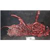 Image 1 : ZZ-CLEARANCE THE THING SCREEN USED ALIEN ENTRAILS