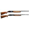 Image 1 : 2 BERETTA A303 AUTLOADING SHOTGUNS.