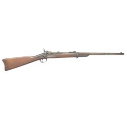 SPRINGFIELD MODEL 1873 TRAPDOOR SRC.