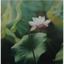 original oil on canvas, Lily on water, 34x34", #858558