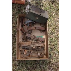 Flat with  Leg Hold Animal Traps (7) & 1 Mole Trap