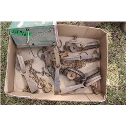Flat with  Leg Hold Animal Traps (7) & 1 Mole Trap