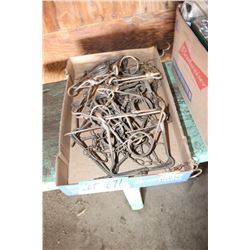 Flat with Conabear Traps (6)