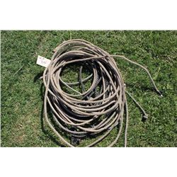 Cut Lariats (3) and Full Lariats (2)