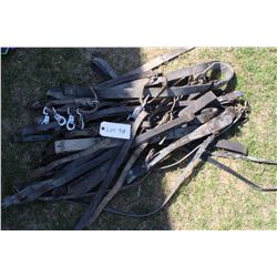 Bundle of Miscellaneous Horse Straps