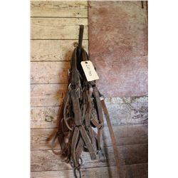 Leather Halters - Standard Size (7)