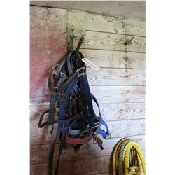 Nylon Halters - Standard Size (7)