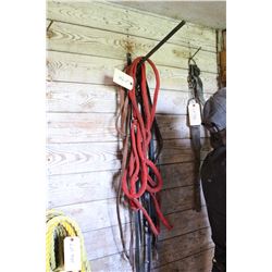 Nylon Adjustable Halter (red) & a Leather Head Stall with Reins