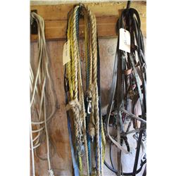 Short Rope Lead Shanks